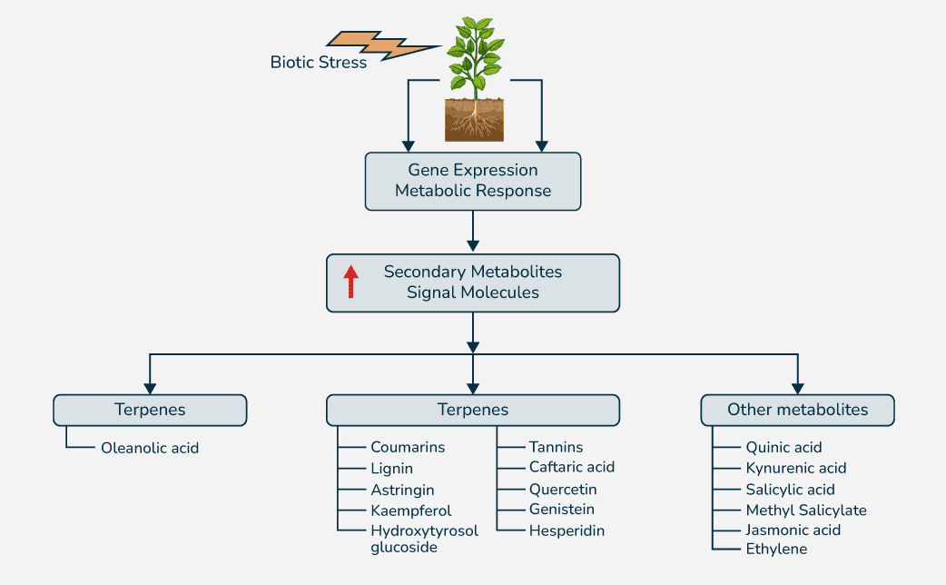 Secondary-metabolites-in-plants