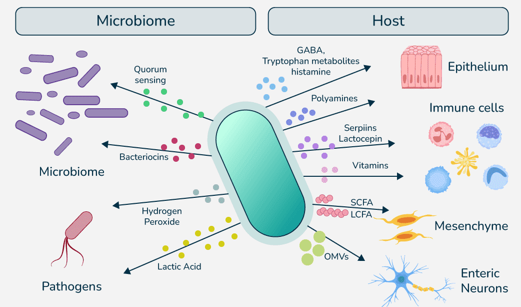 Microbial-Metabolites