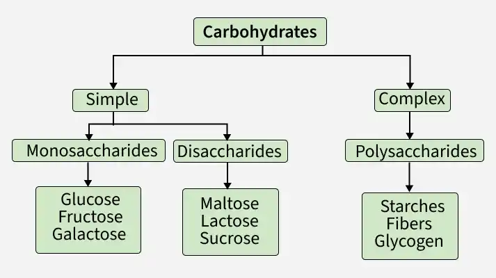carbohydrates-