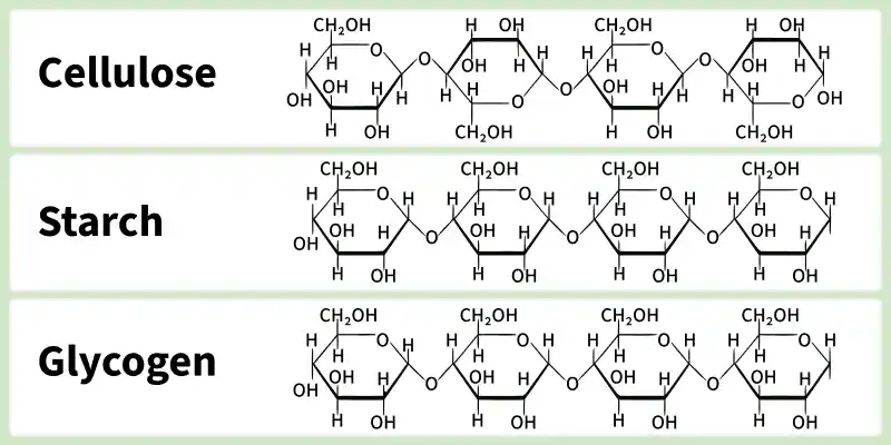 polysaccharides
