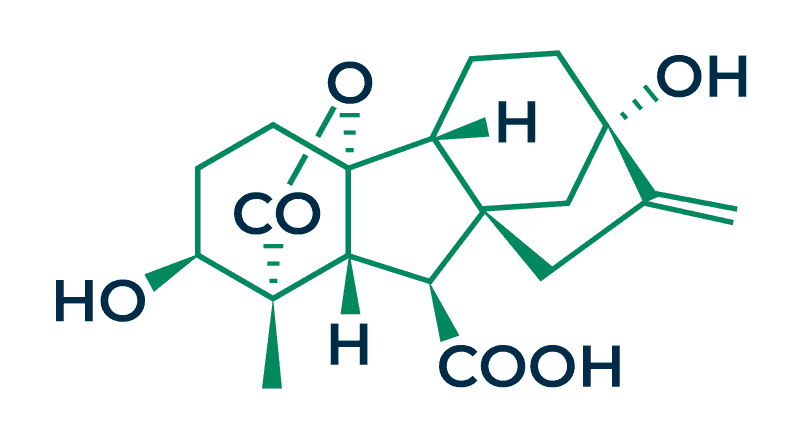 Gibberellin-Structure