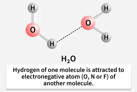 h2o