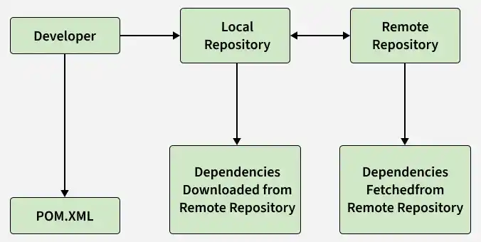 developer