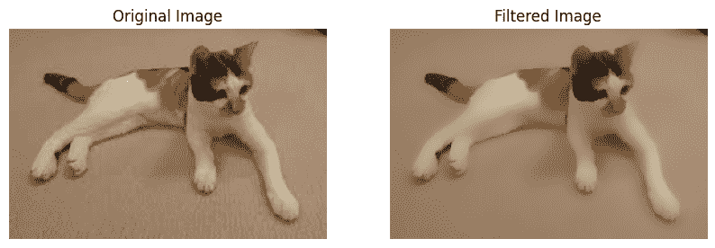 filtered-image