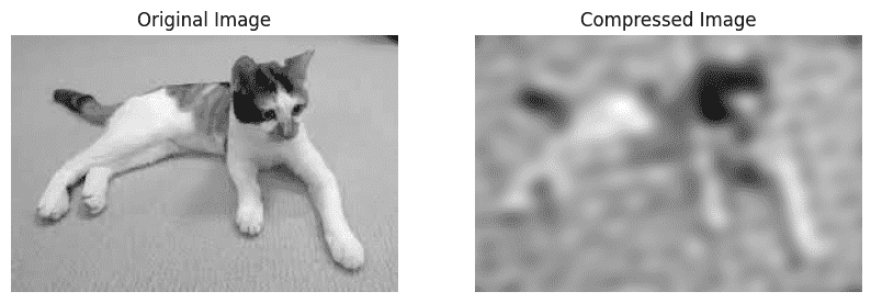 compressed-image