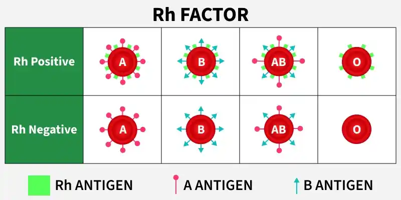 rh_factor