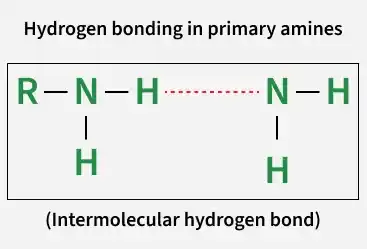hydrogen_bonding_in_primary_amines