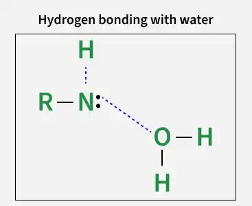 hydrogen_bonding_with_water