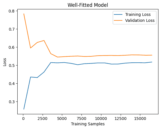 well-fitted-model