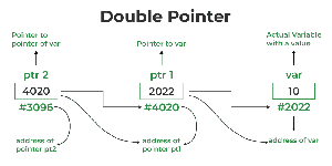 C++ Pointer To Pointer (Double Pointer) - GeeksforGeeks