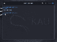 Kali Linux - Command Line Essentials - GeeksforGeeks