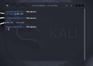 Kali Linux - Command Line Essentials - GeeksforGeeks