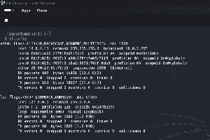 Kali Linux - Command Line Essentials - GeeksforGeeks