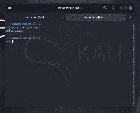 Kali Linux - Command Line Essentials - GeeksforGeeks
