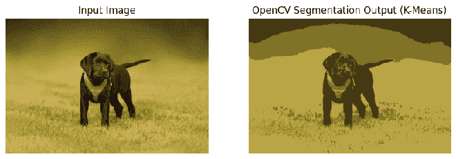 Image Segmentation with Mask R-CNN, GrabCut, and OpenCV - GeeksforGeeks