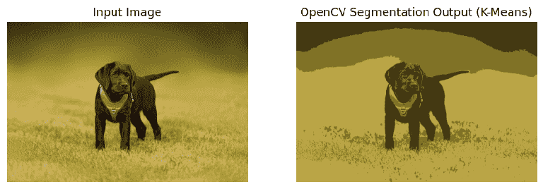 Image Segmentation with Mask R-CNN, GrabCut, and OpenCV - GeeksforGeeks