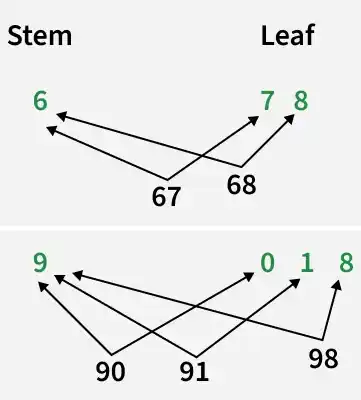 stem