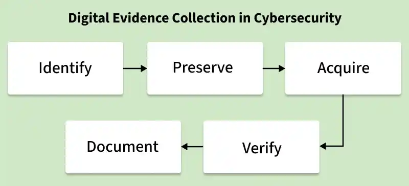 digital_evidence_collection_in_cybersecurity