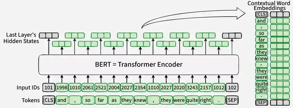 transformer_encoder