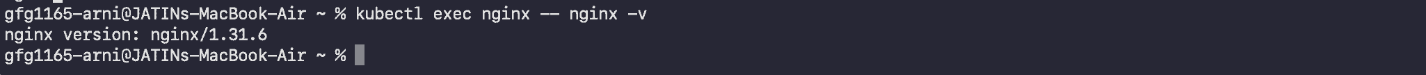 exec_nginx