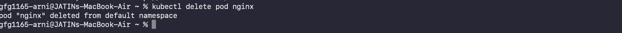 delete_nginx_pod