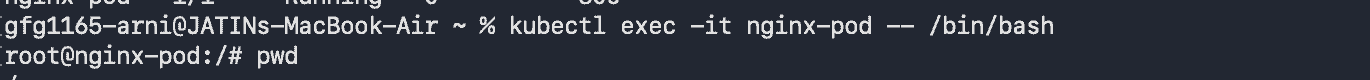 nginx_container