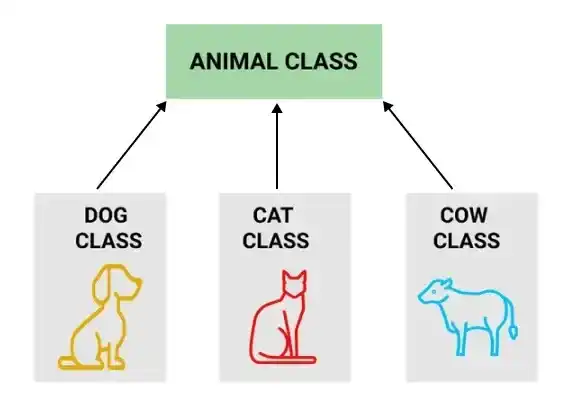 animal_class