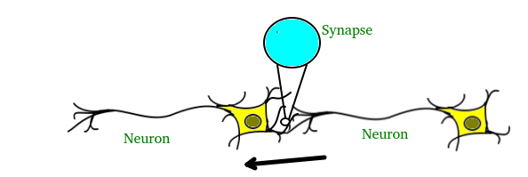 Artificial neural network1