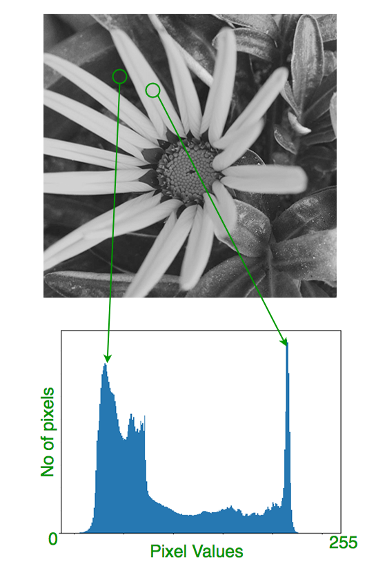 How To Show Histogram Of Image Using Opencv Python Opencv Tutorial ...