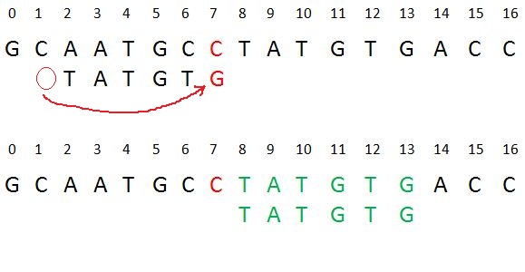 Algorithme de Boyer Moore pour la recherche de modèles