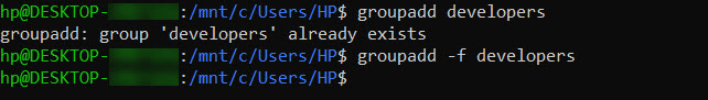 groupadd -f developers