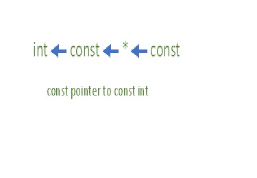 Const vector