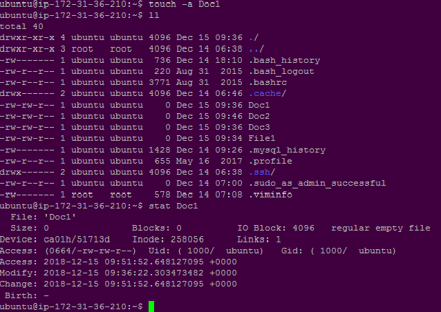 Command touch. Команда Touch в Linux. Командная оболочка Unix. Touch in Ubuntu. Linux Terminal Commands example.