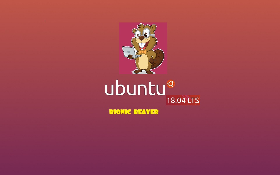 Ubuntu bionic что это